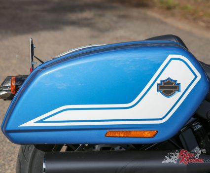 Beautiful saddle-bags.