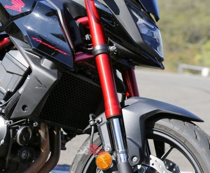 SHOWA 41mm SFF big piston forks.