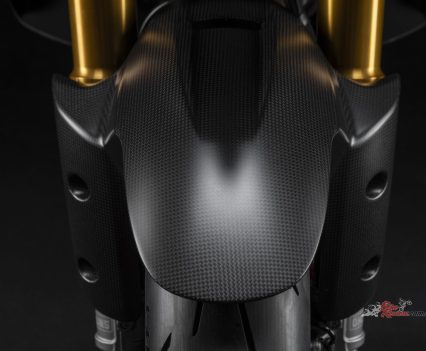 Carbon-fibre mudguard.