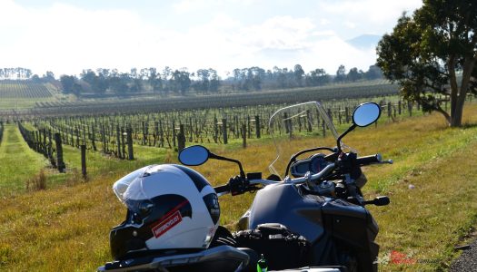 Bear Tracks: Chiltern, The Perfect Road-Trip Detour!