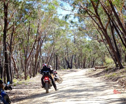 The ride into Yeerranderie.