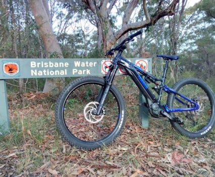 I am surrounded by fantastic Fire Trails.